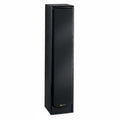 BIC Venturi DV84 Speaker