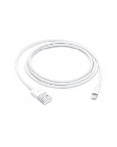 (Prev) Apple Lightning To USB Cable (1m)
